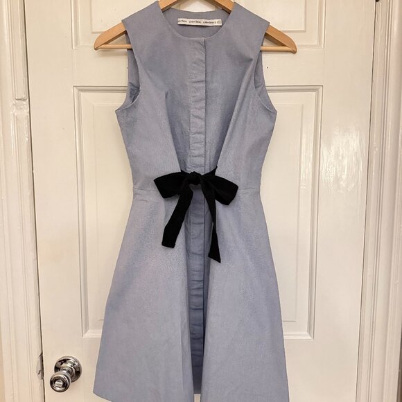 & Other Stories A-Line Mini Sleeveless Shirt Dress💙 - Picture 1 of 3